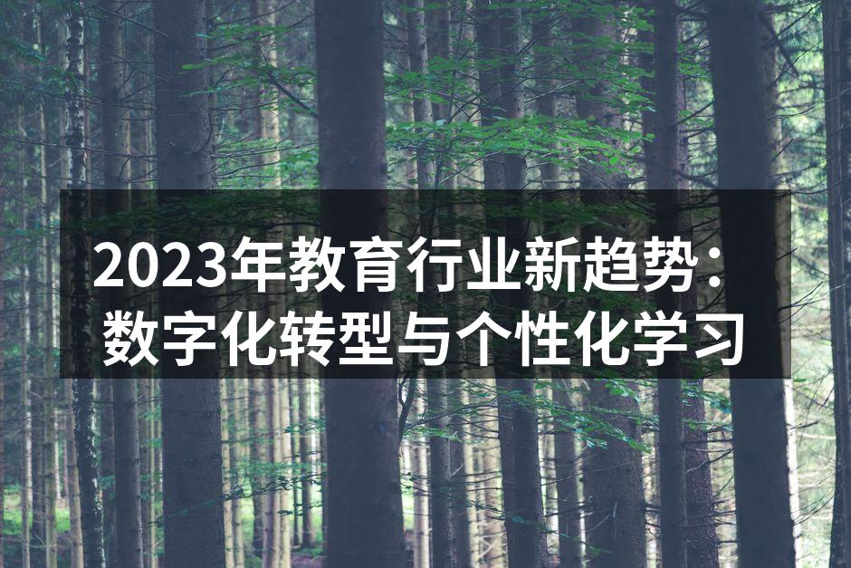 2023年教育行业新趋势：数字化转型与个性化学习
